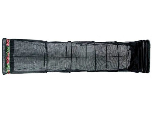 Image17.jpg