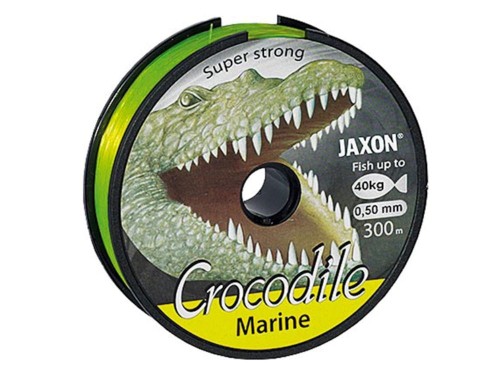 crocodile-marine1.jpg