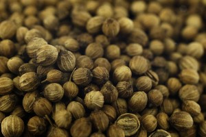 Leszcz Kolendra ziarno 200g