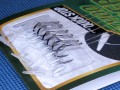 DSC04067.jpg