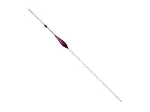 dik.jpg
