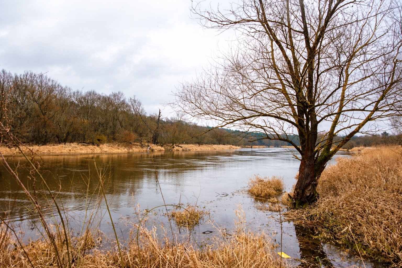 Rzeka Warta - Puszczykowo